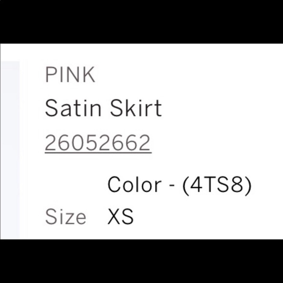 💋NWT PINK VICS SECRET SATIN SKIRT - Picture 2 of 2